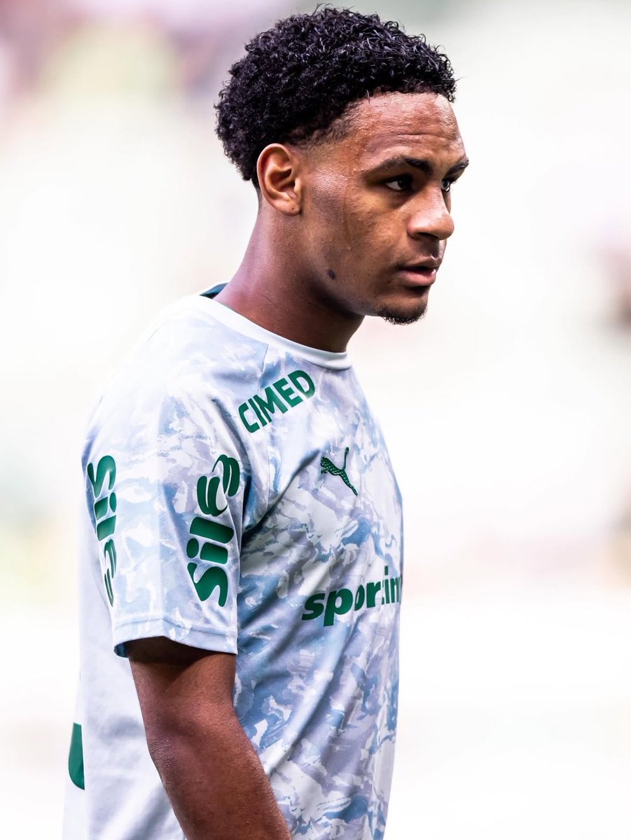 Planeta do Palmeiras 🌎 tweet media