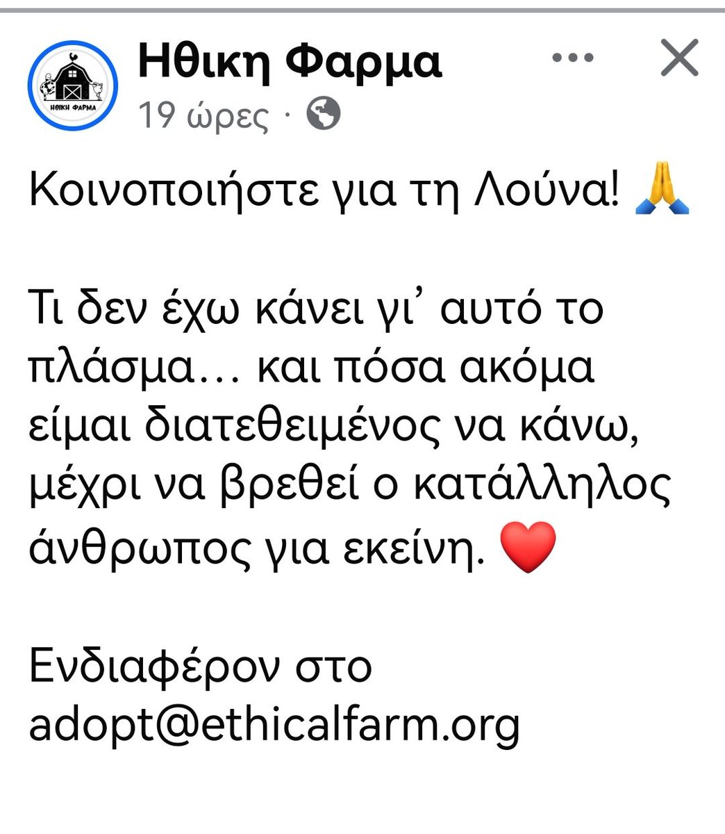 Christinalirou2's tweet photo. Έκκληση των εθελοντών της Ηθικης Φάρμας για Υιοθεσια. Κοινοποιούμε την Λούνα παιδιά μήπως βρεθεί οικογένεια 🏡🐕 https://t.co/uPGSqgQnfp