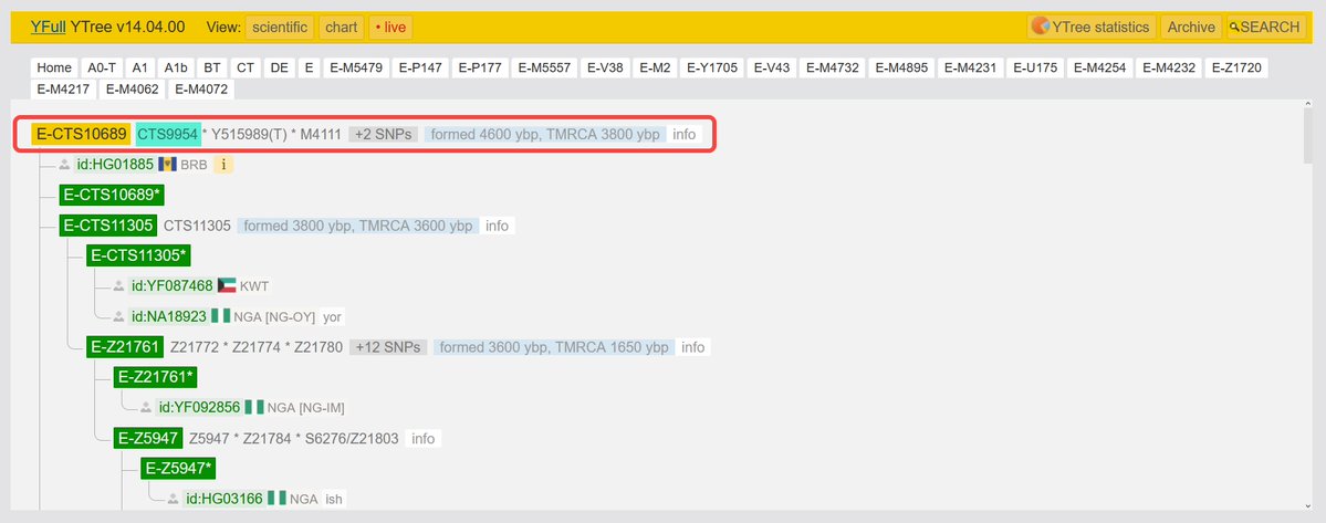 Gedrosia_DNA's tweet photo. A paternal lineage of an individual has been confirmed within the upstream clade “E-CTS9954” (Y111), his location undefined (predicted Hormozgan or Oman-P). he is within the Baluch admix profiles in-addition elevated M.E trace.
#Baluchistan_DNA
https://t.co/S0pLcKSTh6 https://t.co/D75VDmfM2k
