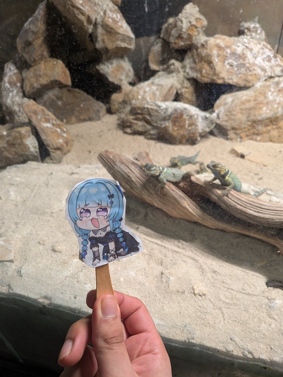 NamedAuto's tweet photo. Meimi meets a Sudan Plated Lizard and some Blue Spiny Lizards, cries, then finds a Meimi sized lizard
The amusement park next door has a train that passes through the zoo, but I wasn't able to get
a picture for Leah, so here's the railroad crossing sign #GlitchStarsVirusAdventure https://t.co/rX2QIkzwXn