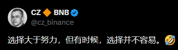 0xLP700's tweet photo. 选择大于努力，但有时候，选择并不容易。
Respect！！
不放弃就不算失败 一起加油@cz_binance https://t.co/wJlcFhvJYR