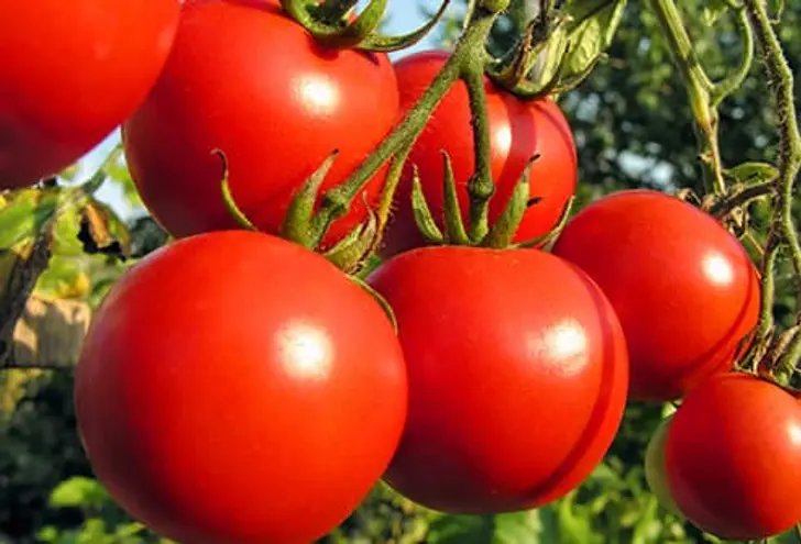 DedayoRoots's tweet photo. Tomatoes

Lycopene (concentrated in tomatoes) is the most documented antioxidant for prostate cancer prevention.

Multiple large epidemiological studies link higher lycopene intake to significantly reduced prostate cancer risk.

Cooking tomatoes in natural oil (exactly how West African stew is made) dramatically increases lycopene bioavailability.

West African men eating traditional tomato stew fried in palm oil were receiving optimised lycopene absorption without knowing it.

The transition to processed food and fast food is removing this protection.

The stew was always the medicine.