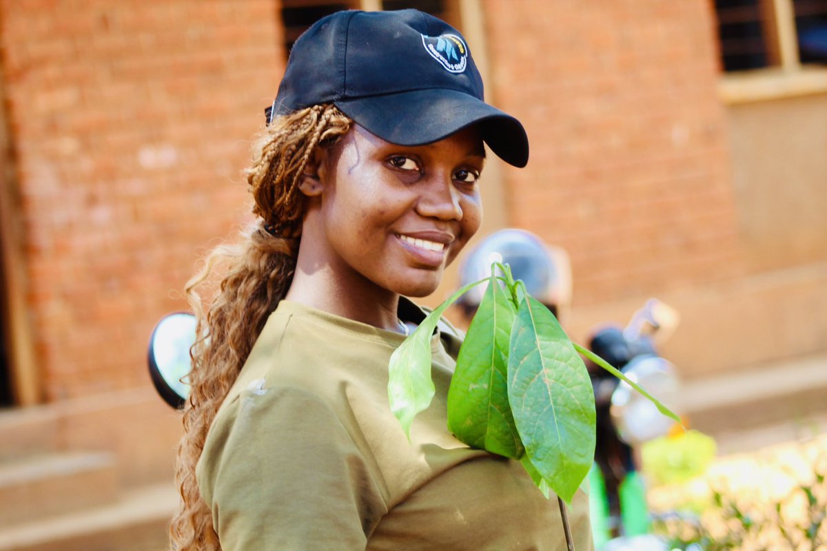 AWYAD_UG's tweet photo. Did you know planting trees can help #EndChildMarriage? 

Climate Justice is Gender Justice.

At  @CGVSUganda in Luwero District, @GNB_Uganda Central Region, Parish, LC1 Leaders, and the community came together and planted 300 trees at 6 Sites to #EndChildMarriage.

Here’s the connection no one talks about:
Trees → Rain → Crops → Income → Girls in School 

Because when trees grow:
Rain increases→ crops grow → families can afford school fees
Income grows→ less poverty → fewer girls married early
Firewood is closer→ girls spend more time learning, not walking
Safer, greener schools→ better attendance and health
Climate stability*→ fewer crises that push families into poverty

We planted for the climate. And for every girl who deserves to stay in class.

@GNB_Uganda @GirlsNotBrides @RoofingsGroupUG @UNGEI 

#ClimateAction #SDG5 #SDG13 #GreenUganda #YouthForClimate #PlantTrees #ClimateJustice 

#AWYADAT10
