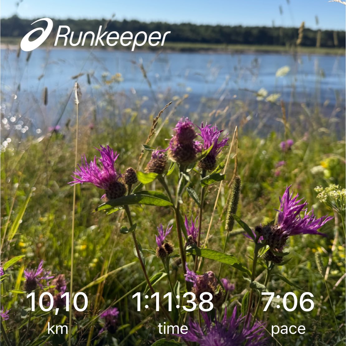 AnglyRun tweet picture