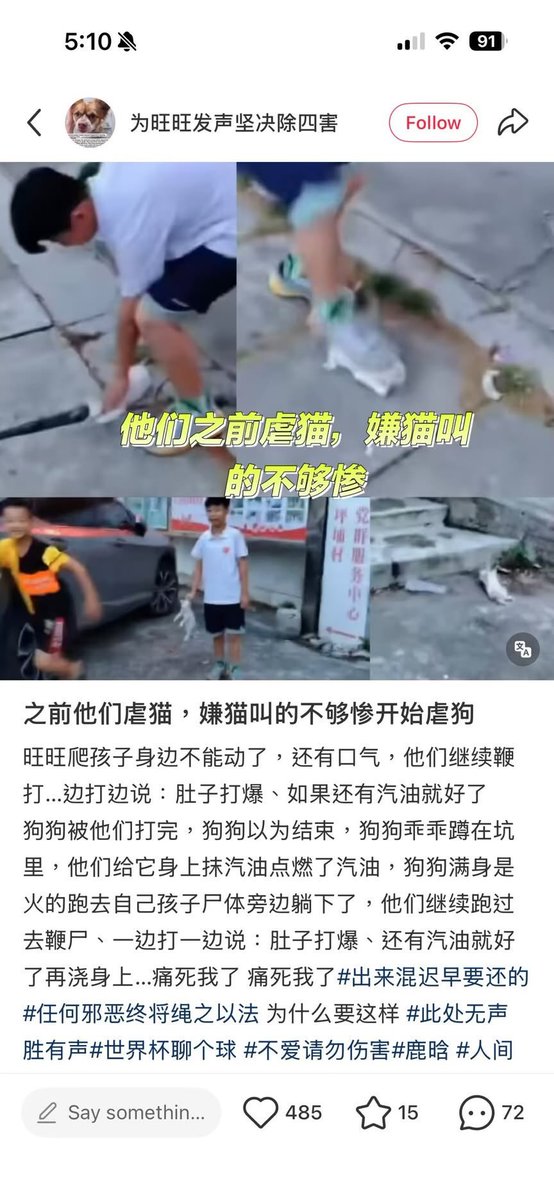 Louisoonzq's tweet photo. This 4 monsters used to do the same things before to cats, but cats don't scream loudly so they turn to aim the dogs... https://t.co/RKjwIJbve8