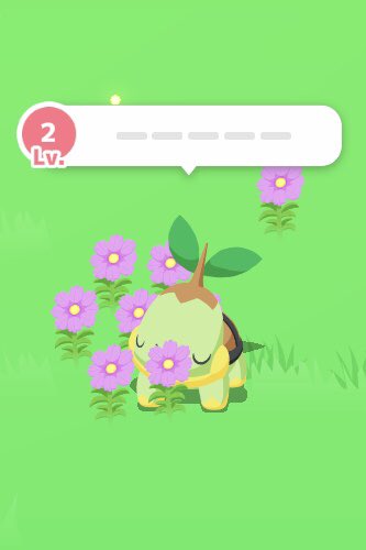 luke_enjoy's tweet photo. 分割しました！
ミズゴロウとポッチャマがそれぞれFL40と10に、がんばりやヒコザル結構強そう！所持Lあるのも自分の好み https://t.co/yJIiO1JymV