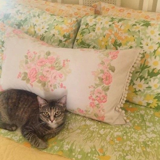 artindetails's tweet photo. spring day https://t.co/eXI899PCAR