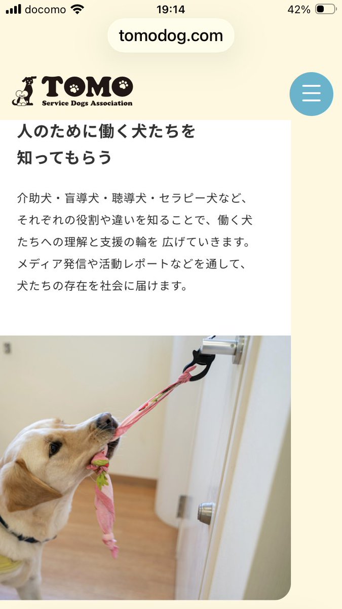 nori_pchan's tweet photo. 私の推しは随分と年下だけど、本当に尊敬できる人です。
声高にアピールする事は無いので、この機会に皆さんに知ってほしい。
TOMO Service Dogs は、人のために働く犬を応援する、山下智久さんがたちあげた団体です。
#minnano_zoo_ntv 
#山下智久 https://t.co/QNPniDScwV