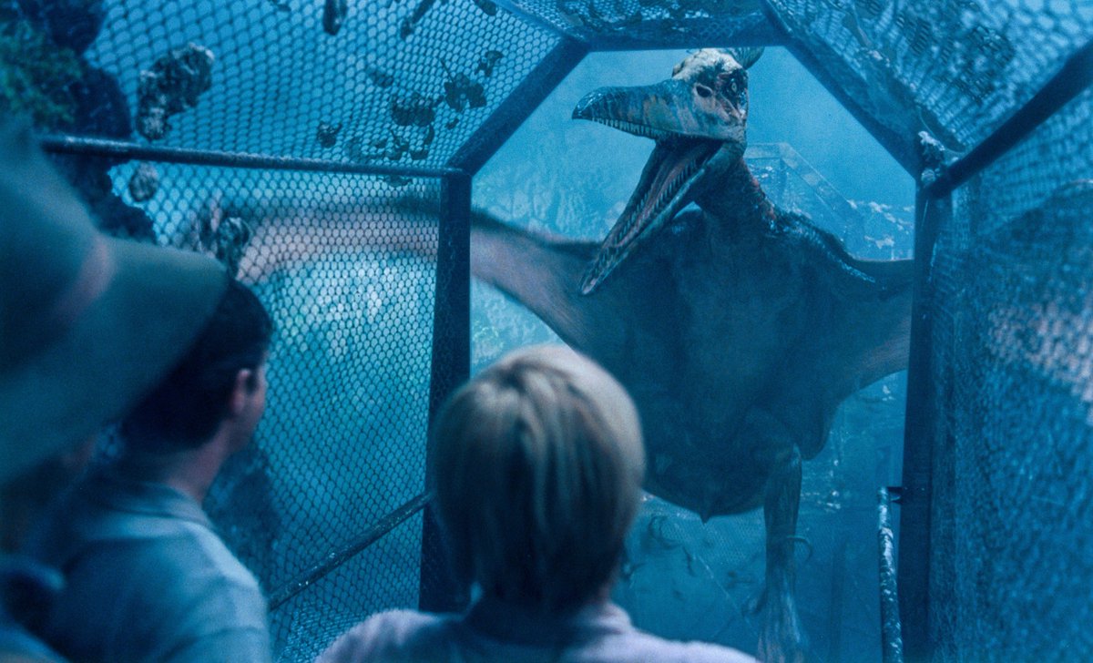 Nublar7's tweet photo. Happy 25th Anniversary to Jurassic Park III

While it may be at the bottom of my franchise ranking, I still love this movie and enjoy it so much. The Pteranodon aviary scene is one of the best sequences in the entire franchise. https://t.co/06uUDg8N7k