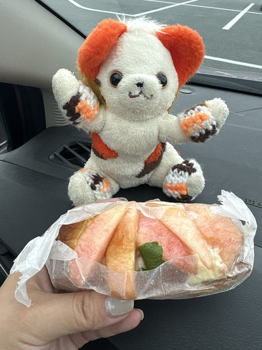 katabami030's tweet photo. 山梨🍑 https://t.co/wUKNAyrwoT