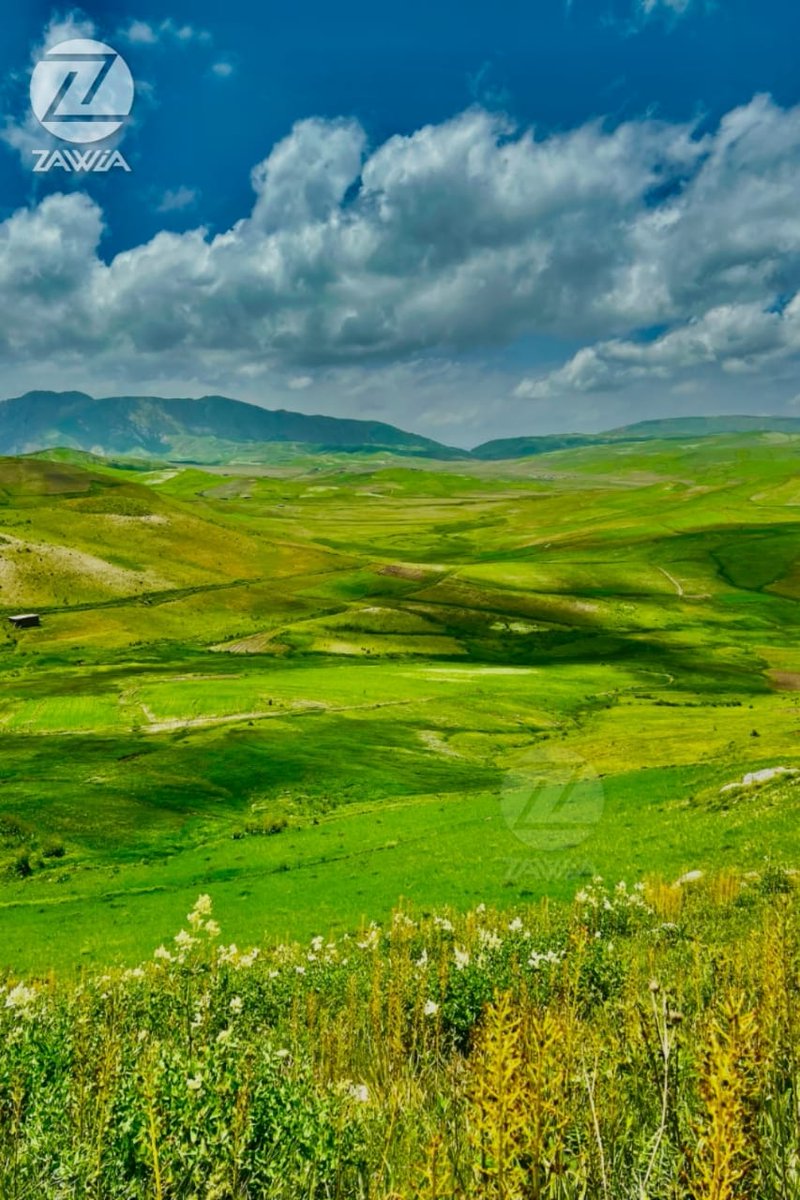 ZawiaNews's tweet photo. زاويه چېرته ده!؟
بدخشان، خواهان ولسوالۍ، دشت سبز سيمه. 🇦🇫 https://t.co/oawIBtbaJr