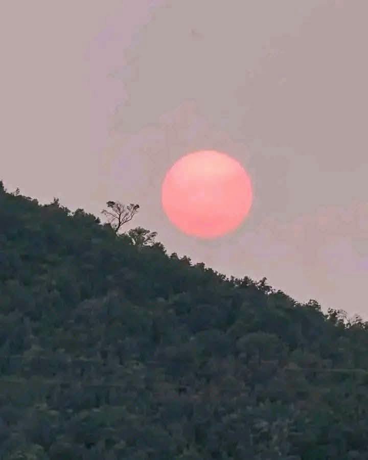 Fatimaaaaiu's tweet photo. الشمس الحمراء الداكنة اللي شافها التوانسة مش ظاهرة غريبة، السبب قبة حرارية خلت الغبار والهباء الجوي يتراكم في الهواء بدل ما يتشتت. 
كل ما زاد الغبار في الجو، الضوء الأزرق يتشتت والأحمر يبان أكتر خصوصاً وقت الغروب. 
ظاهرة طبيعية مرتبطة بموجة الحر 🌅🇹🇳

#تونس #صيف https://t.co/bA1BqTzojO