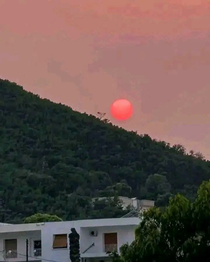 Fatimaaaaiu's tweet photo. الشمس الحمراء الداكنة اللي شافها التوانسة مش ظاهرة غريبة، السبب قبة حرارية خلت الغبار والهباء الجوي يتراكم في الهواء بدل ما يتشتت. 
كل ما زاد الغبار في الجو، الضوء الأزرق يتشتت والأحمر يبان أكتر خصوصاً وقت الغروب. 
ظاهرة طبيعية مرتبطة بموجة الحر 🌅🇹🇳

#تونس #صيف https://t.co/bA1BqTzojO