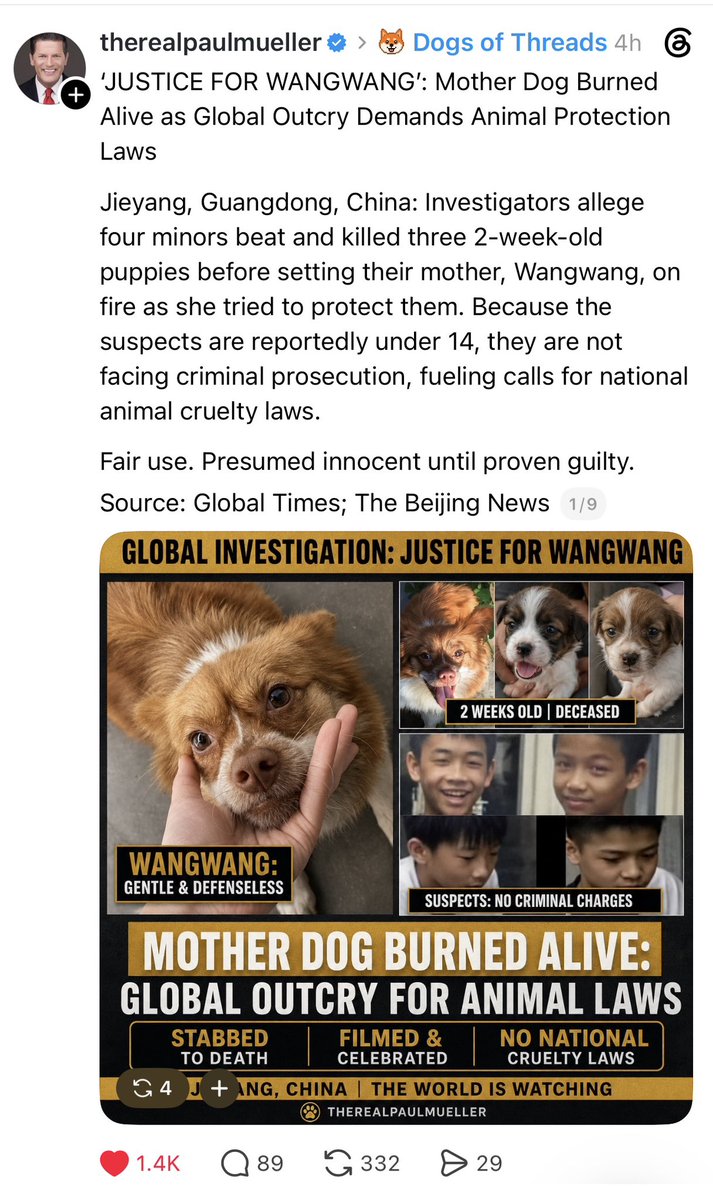 wangwang tweet media