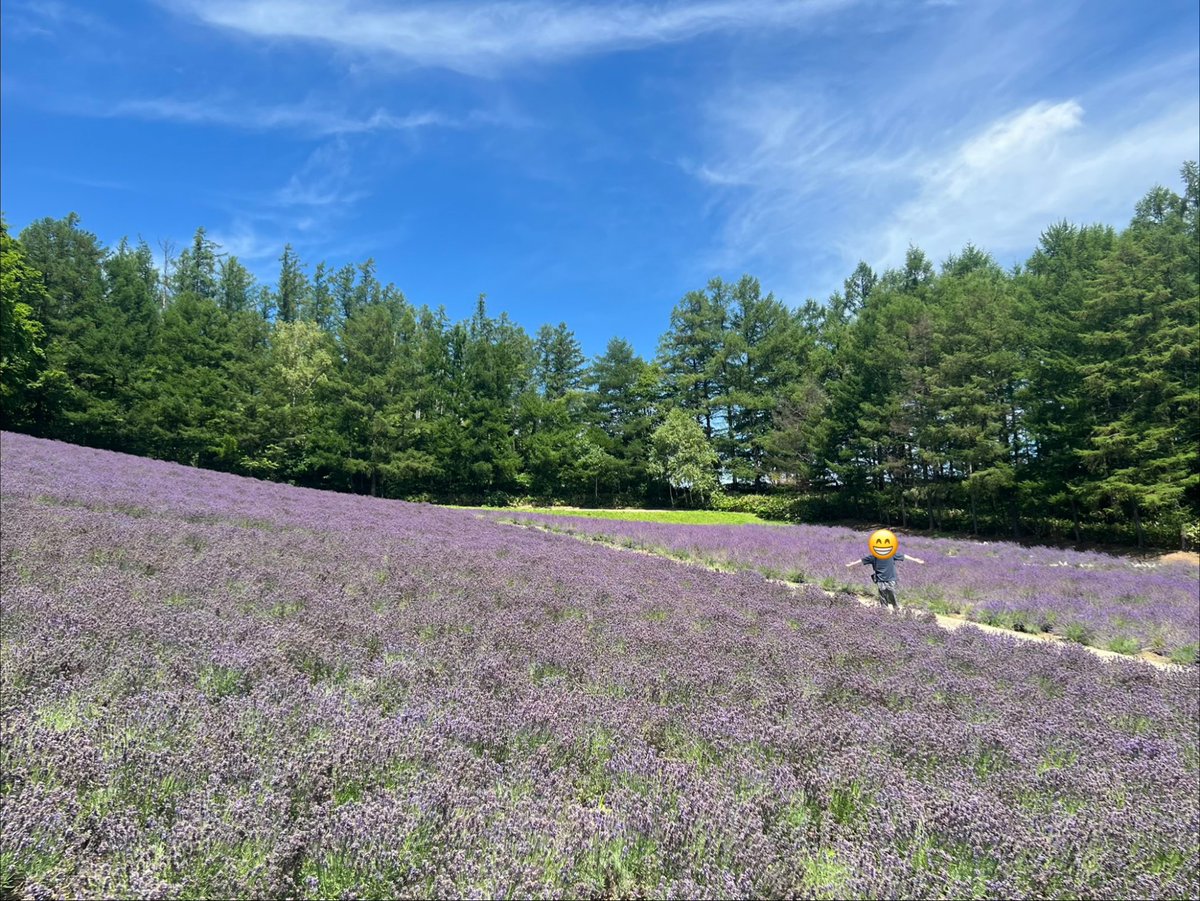 mutuu24's tweet photo. ありがとう北海道
またくるぞ北海道 https://t.co/SM6enrtTbl