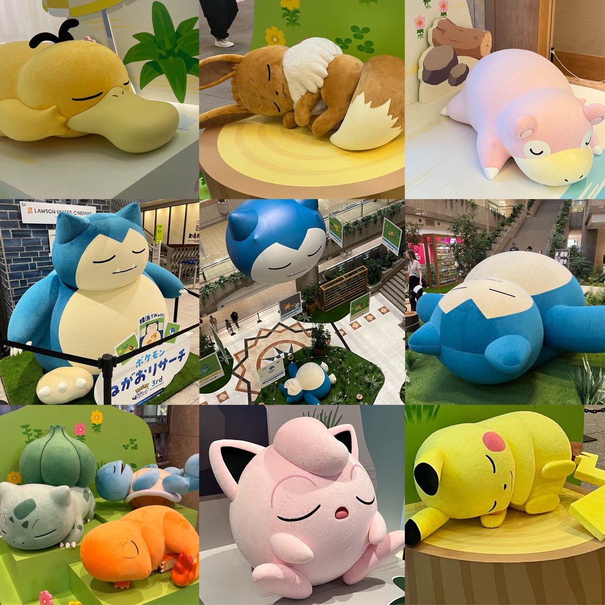 ピカピ tweet media