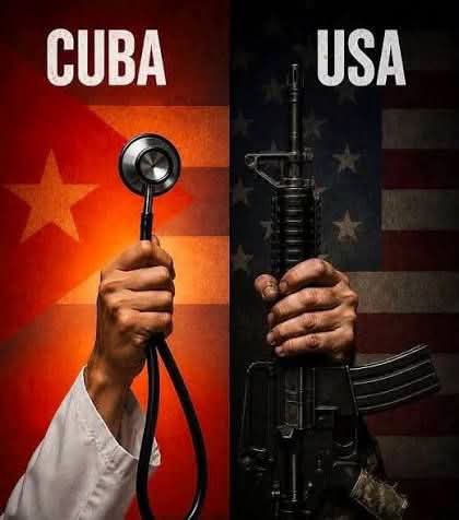 Anibal tweet media