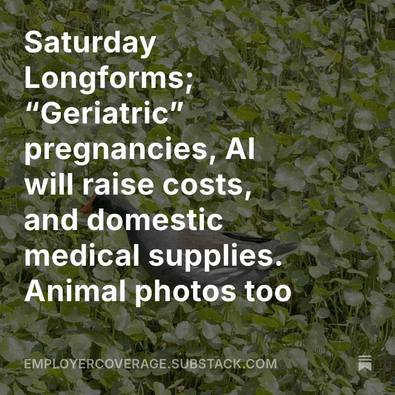 jlevinscherz's tweet photo. Today in #Employer Coverage: Saturday Longforms; “Geriatric” pregnancies, AI will raise costs, and domestic medical supplies. Animal photos too

https://t.co/ef0WdIx3vs https://t.co/8aQSEAt59l