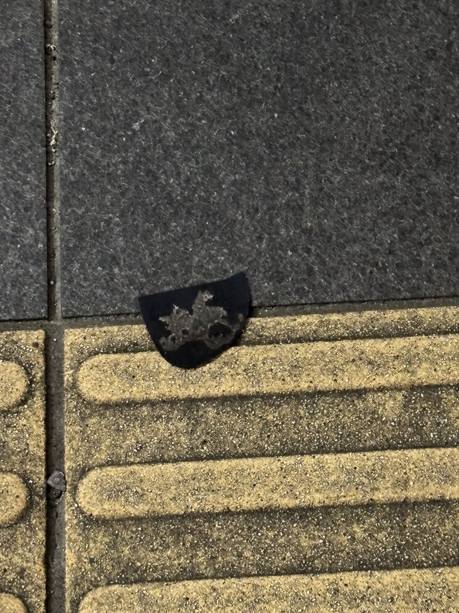 GUNTAPimprint's tweet photo. 置いてけぼりソーーーール！！

#置いてけぼりソール
@赤羽 https://t.co/iQ2pXcvTc9