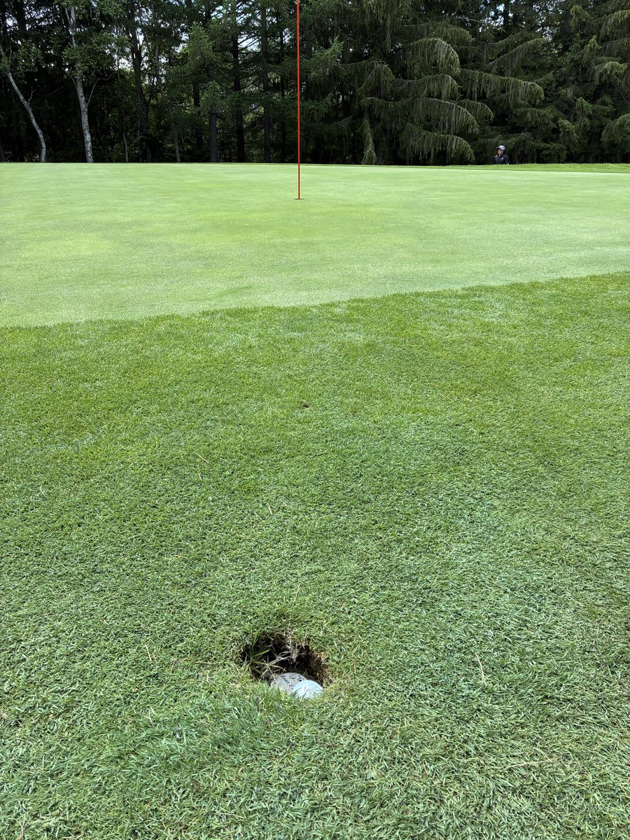 AceToypoo's tweet photo. パースリーでグリーン横の穴にホールインワン⛳️
違うそっちじゃない😌

#ホールインワン https://t.co/WEE4diqBTP