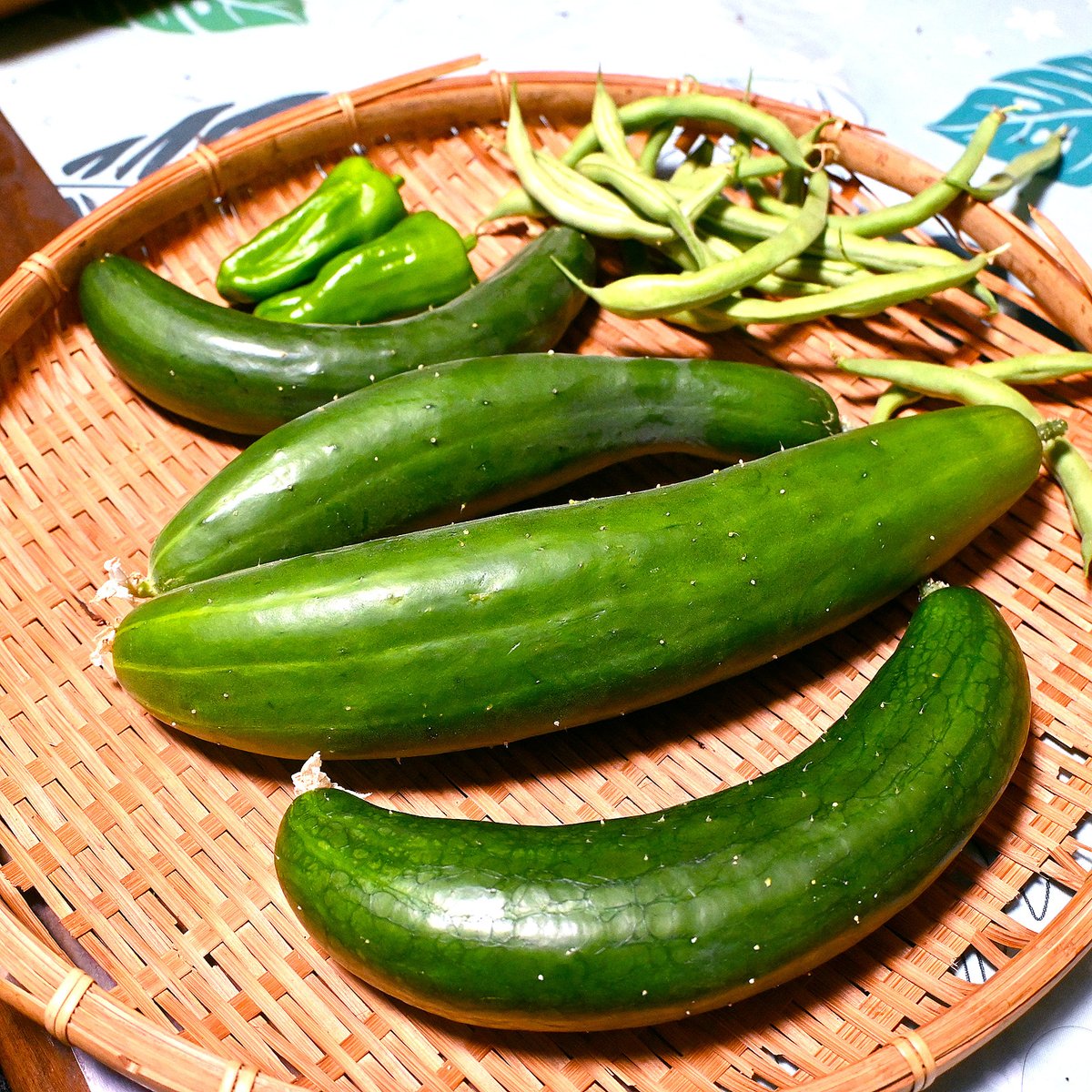 peeasagao's tweet photo. 家庭菜園のドデカきゅうり🥒
味はイマイチかなぁ、と思ったけど
まぁまぁ美味しかった🍴 https://t.co/GkJ6p0BKWZ