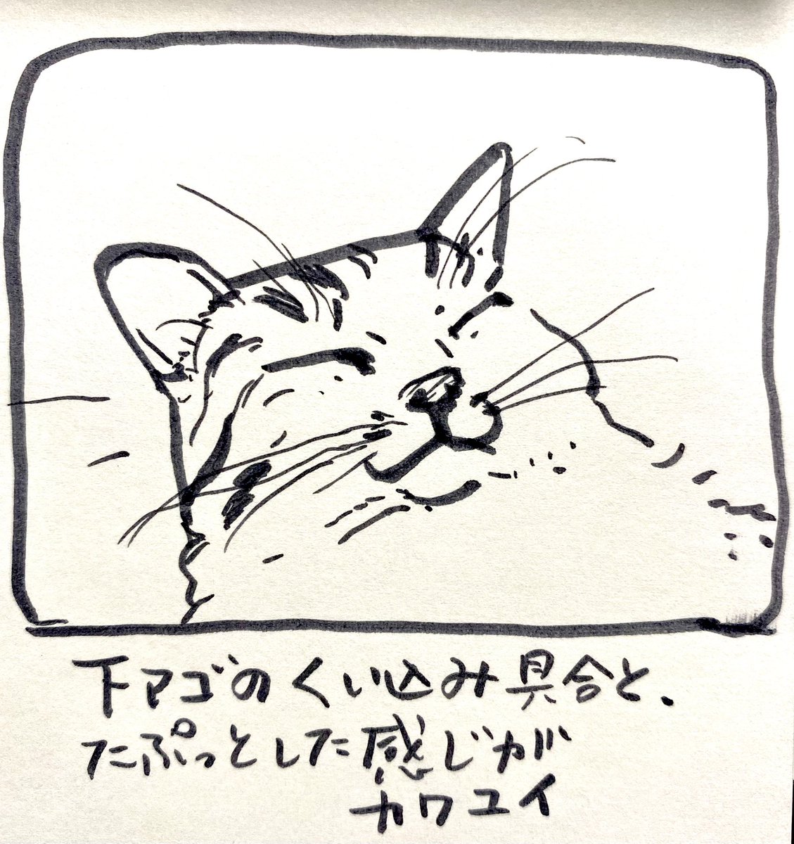 higurenosato002's tweet photo. あんまりいい顔だったので
お借りしました。
幸せのお裾分けにあずかりまして
ありがとうございます。 https://t.co/dm2tinYmLg