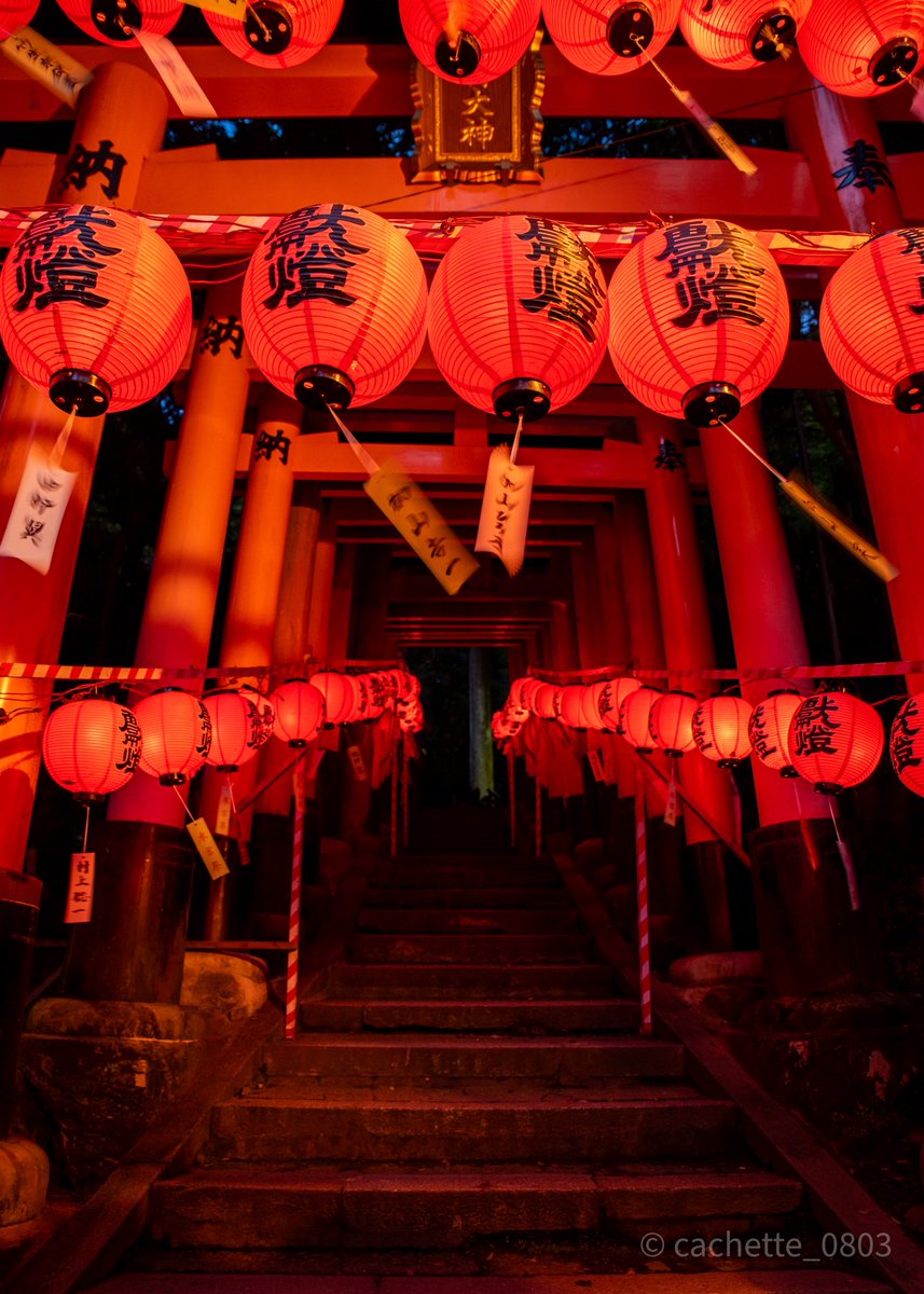 cachette_0803's tweet photo. 宵宮祭、伏見稲荷大社
(2024.7) https://t.co/tJcvYEnQzg