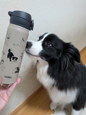 dolce_border's tweet photo. ネットで紹介記事見て、速攻購入しちゃいました。
会社に持ってこっと。 https://t.co/9vucZjHLfz