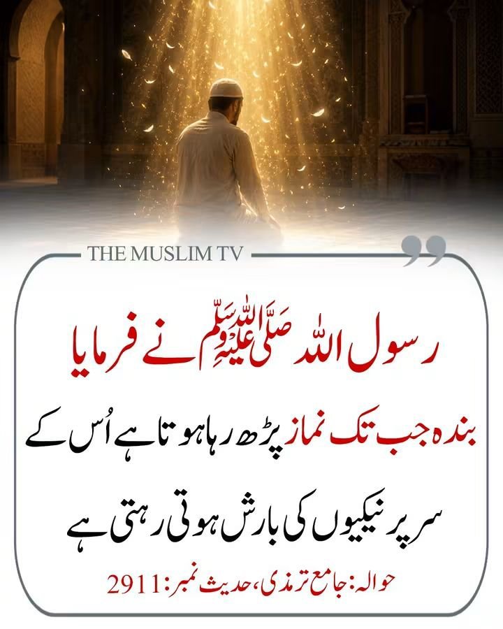 ChotiSheikhni's tweet photo. سبحان اللہ https://t.co/NgImfEJbGd