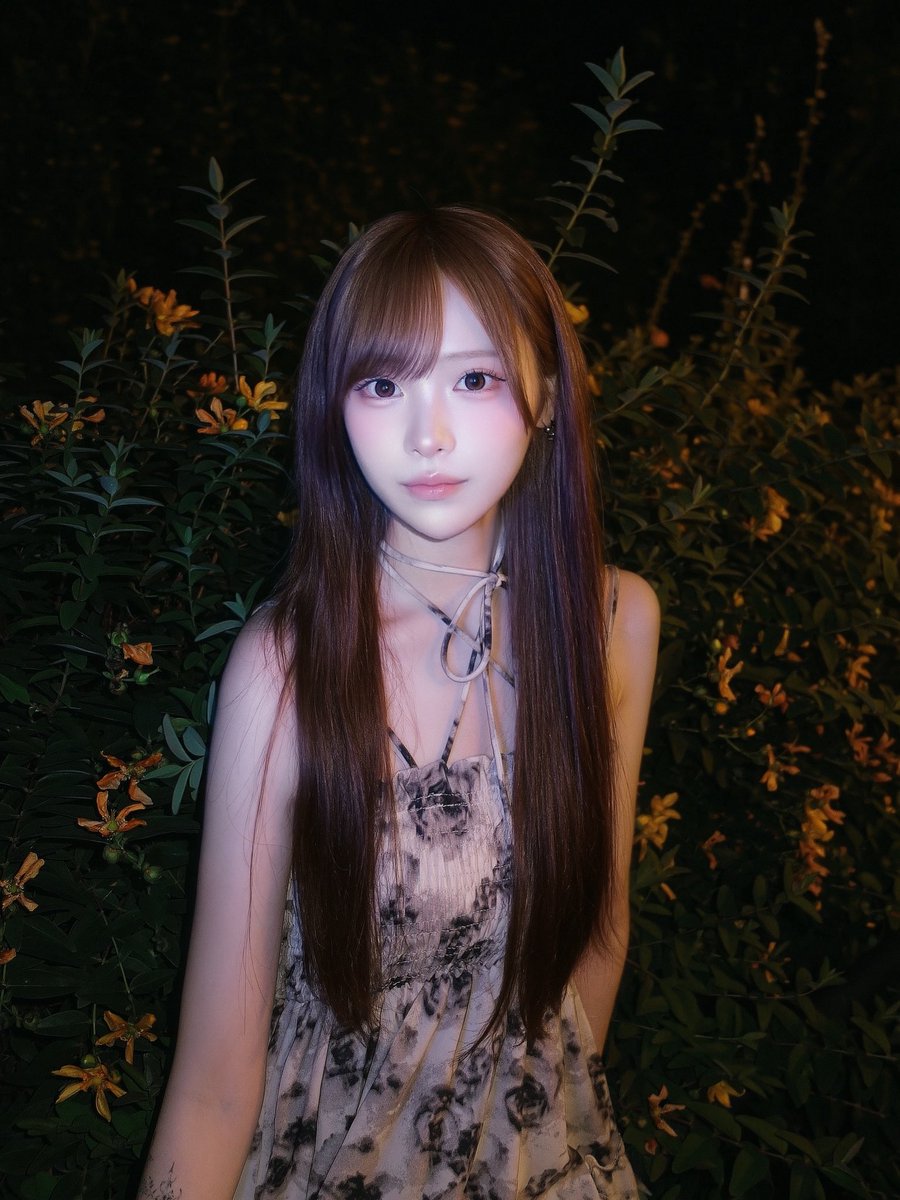 にゃんもな (@uxvqc) / Posts and Replies / X