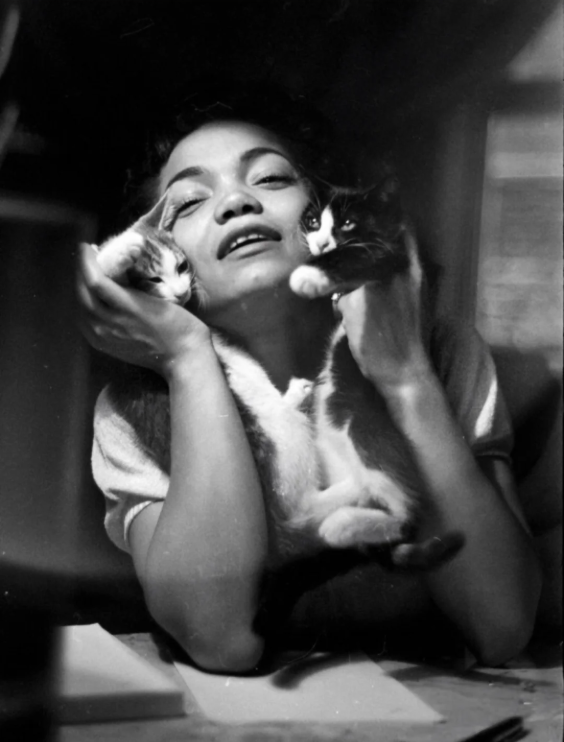 HorribleSanity's tweet photo. It's an Eartha Kitt #Caturday!  (Photographer: Gordon Parks, 1952) https://t.co/IY8amfGlxx