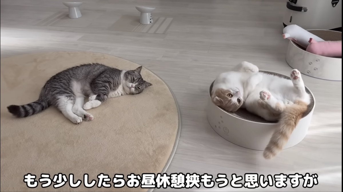 もちまる日記