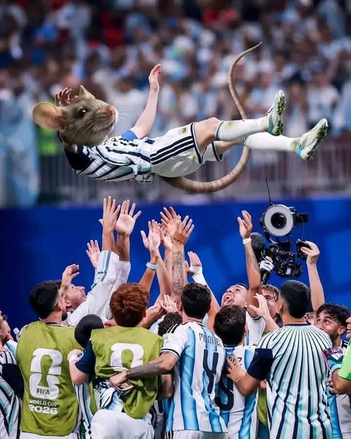 XaleX6X9's tweet photo. @FIFAWorldCup https://t.co/JUCWl6i6do