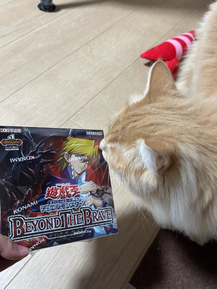 kanimayoyon's tweet photo. たまたま予約できて買えちゃってる〜
パケ絵最高にカッコいい
飾って大事にするつもりだったけど、折角だし剥いちゃおかな…！ https://t.co/sA1HuN1blr