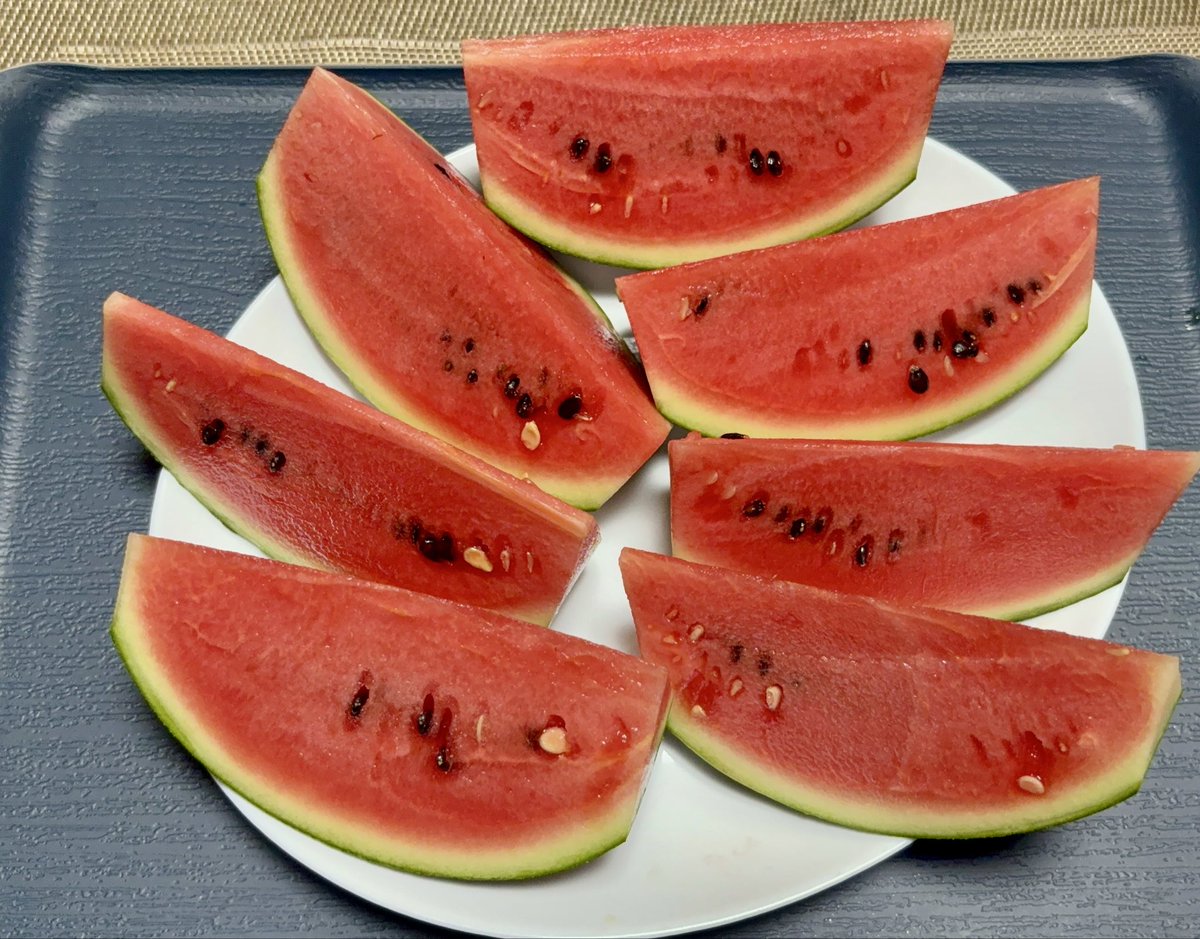 WkLb1DlPQp3WzZ3's tweet photo. 家庭菜園で育てた黒小玉スイカ🍉成功しました😁💕🍉
甘くて美味しかったです😋💕🍉
#家庭菜園
#黒小玉スイカ https://t.co/qSM27SIG3L