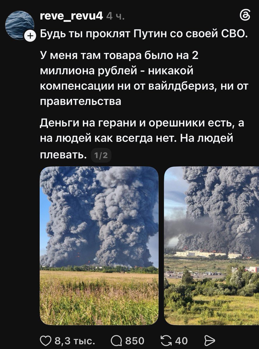 belamova tweet picture