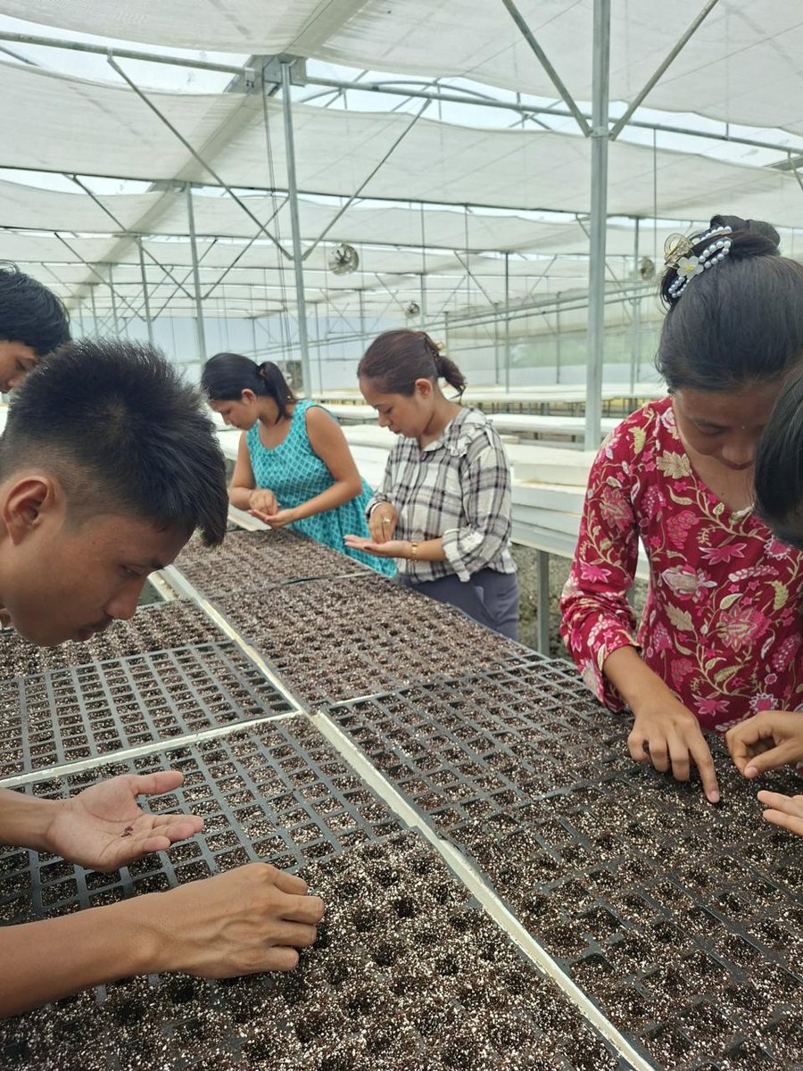 agri_assam's tweet photo. Students of Sonapur College participated in a Summer Internship Camp organized by DAO, Kamrup (M), gaining hands-on experience at #FarmerRegistryCamps &amp; learning modern farming techniques from experts.
#LearningByDoing

@CMOfficeAssam 
@Pijush_hazarika 
@uday_praveen https://t.co/apVBvI76qf
