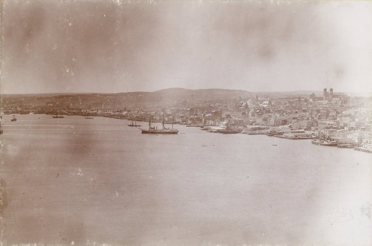 NLHistory tweet picture