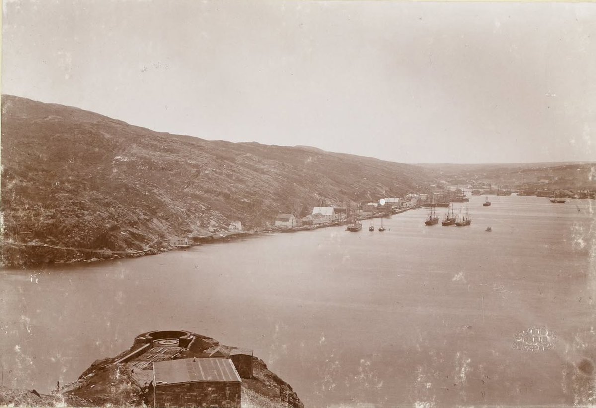 NLHistory tweet picture