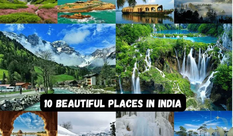 progressivetrav's tweet photo. 10 Beautiful Places in India you need to add to your travel list from iconic landmarks to hidden gems, this guide has you covered. ✈️

Read here: https://t.co/OvwycNukZg

#IndiaTravel #IncredibleIndia #TravelGoals https://t.co/OqzJLIL5j1