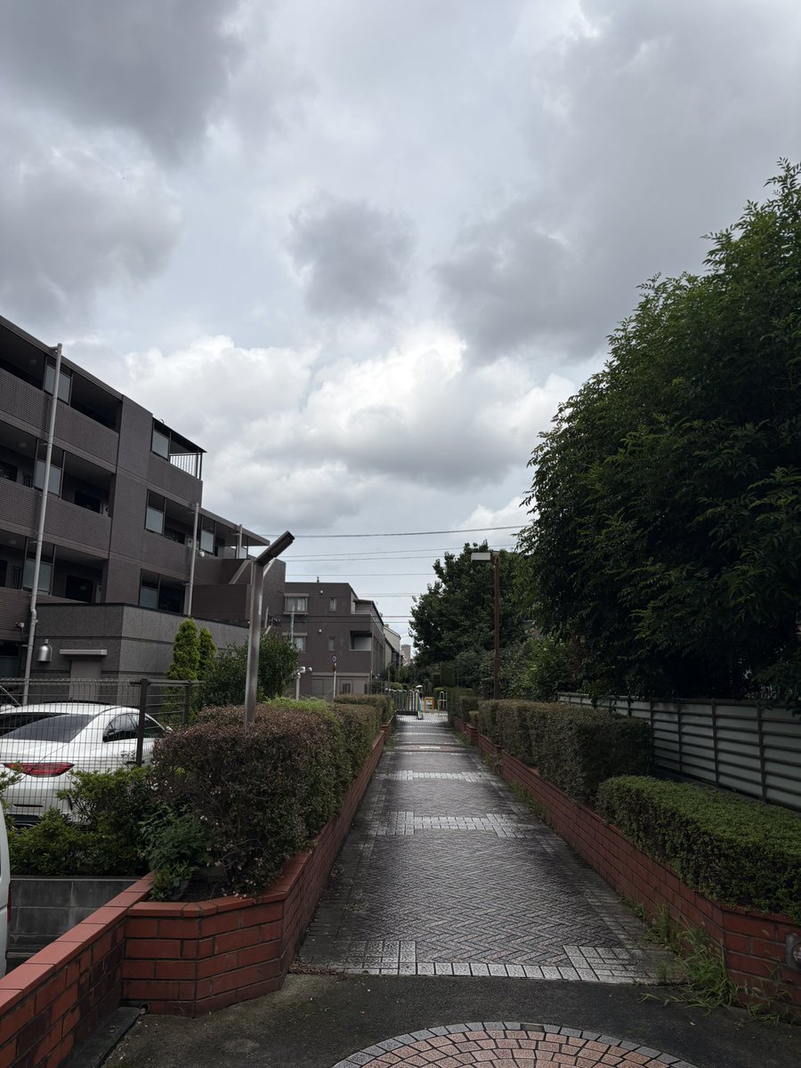 wuneng50's tweet photo. 3連休じゃなく30連休したい。
暗橋2つに暗渠と猫。

#働きたくない #アダルトチルドレン #HSP https://t.co/PLexBus2Lt