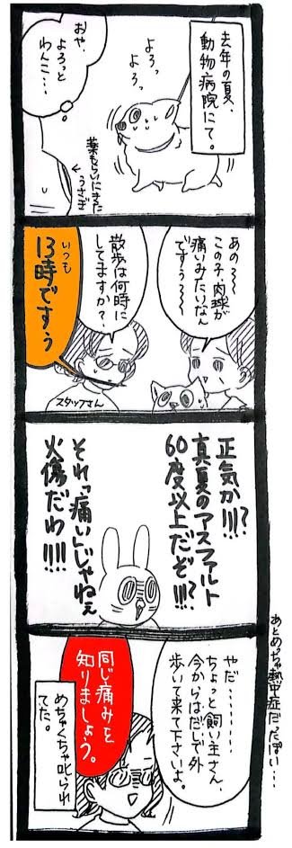 usagitoseino's tweet photo. 散歩の時間はちゃんと考えてください https://t.co/nLtoc4w6dE