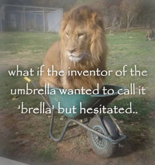 RealestMemes_'s tweet photo. https://t.co/HdSEJqbL41