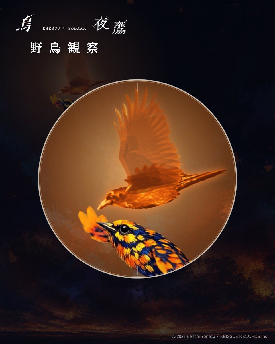 usachan_book's tweet photo. 31,374羽目の「夜鷹」が羽ばたきました
https://t.co/MwAkpJRKcz
#烏 #夜鷹 #野鳥観察リスニング
きれいね！😍 https://t.co/MhqB25Z9tG