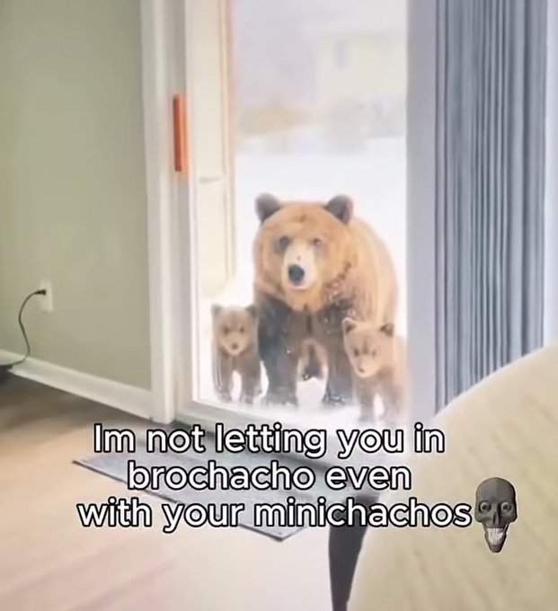 RealestMemes_'s tweet photo. https://t.co/QKrVhni3Eq