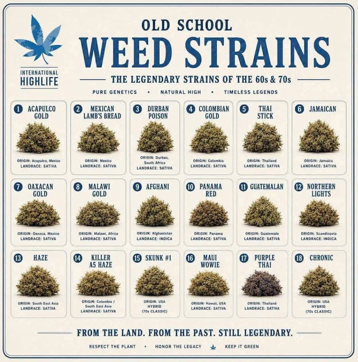 HIgh ยฃveryone๐ค๐ tweet media