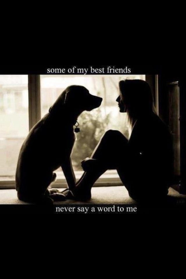 joepeace25's tweet photo. Dog lovers ❤️ 
https://t.co/mS7aAWEE1y
#Dogs #CanineCompanion ##PetVibes https://t.co/q8BTLKAHhN