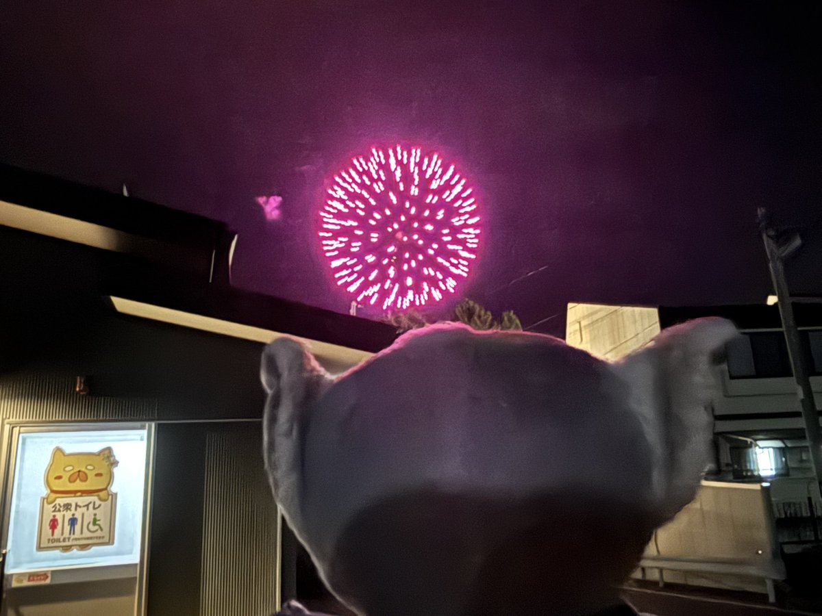 Post by どんちゃん on X: お祭り🎆