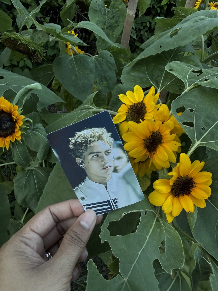 iameninaj's tweet photo. ‘Di ko masabi.🤪🌻 Nasa UP Diliman si @stellajero_ 🤭🥰

#StellAjero #SB19_STELL https://t.co/AmQk0nN7S5