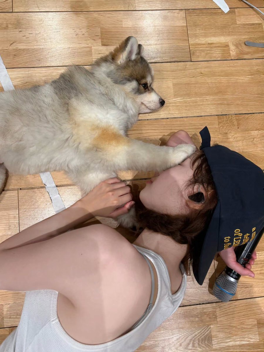 9uma_9's tweet photo. 코요미사진 무더기로 올려주면 좋아죽죠 https://t.co/H4FQl4qUfD